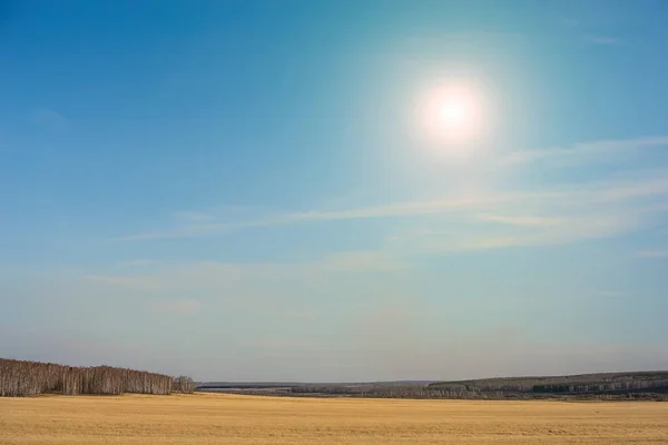 Γαλάζιο Του Ουρανού Σαφή Ήλιος Πέρα Από Πεδίο Σιτάρι Και — Φωτογραφία Αρχείου