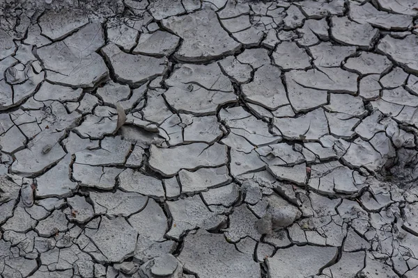 Tierra seca agrietada . — Foto de Stock