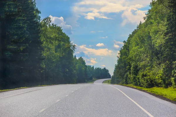Country asphalt road along the forest — Stock Photo, Image
