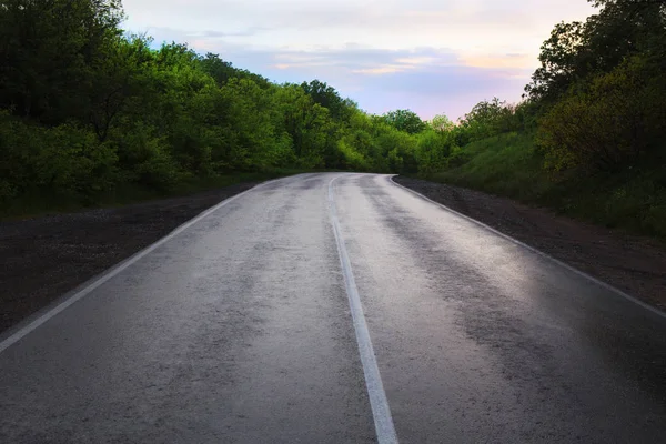 Estrada de asfalto na floresta à noite ao pôr do sol — Fotografia de Stock