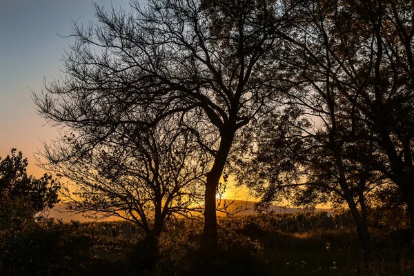 Bellissimo paesaggio con contorno di alberi e montagne — Foto Stock