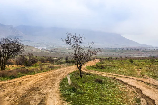 kir yol ve sis dağlar