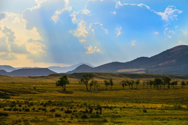 Paesaggio con valle, alberi e montagne — Foto Stock