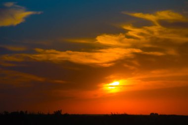 Gün batımında güneşle aydınlatılan tarla ve orman