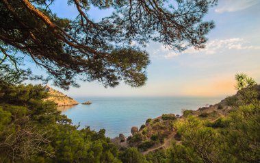 ormanlarla kaplı deniz kayalık koy görünümü