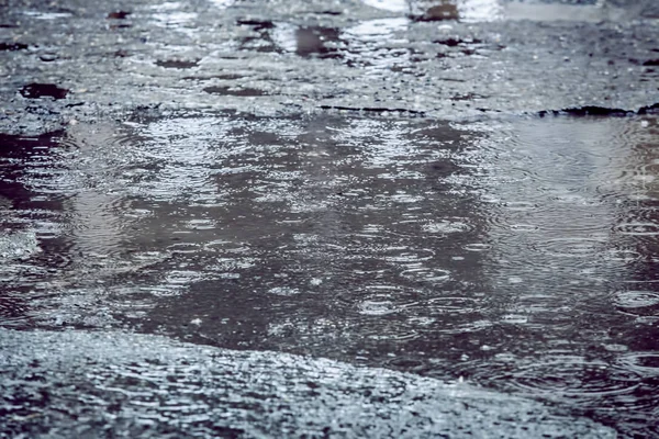 Rain drops falling in pool — Stock Photo, Image