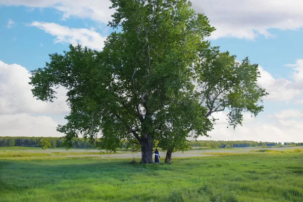 Meisje Een Groene Weide Onder Een Grote Boom Kijkt Uit — Stockfoto