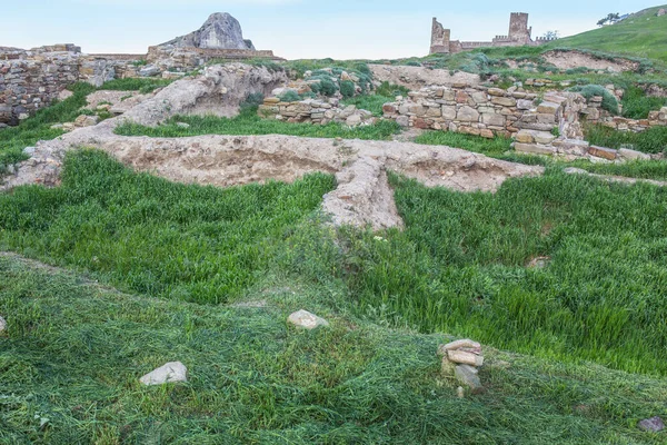 Ruínas Uma Antiga Fortaleza Pedra Arruinada Coberta Grama — Fotografia de Stock