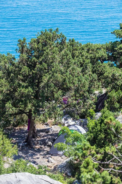 Latem Namiot Turystyczny Pod Drzewem Nad Morzem — Zdjęcie stockowe
