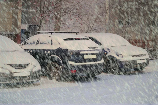 Bilar Parkeringen Vid Byggnaden Vinterkväll Snöfall — Stockfoto