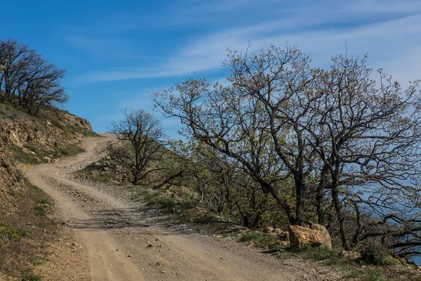 Lkbaharda Gökyüzüne Karşı Dönen Toprak Toprak Yol — Stok fotoğraf