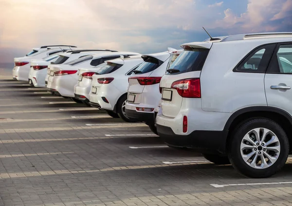 Carros Para Venda Stock Lot Row Inventário Concessionário Automóveis — Fotografia de Stock