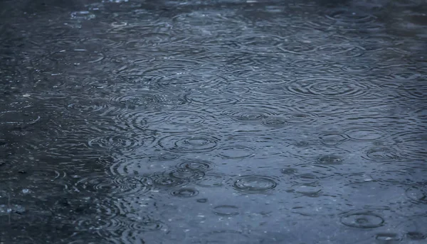 Gotas Chuva Caindo Piscina Asfalto — Fotografia de Stock