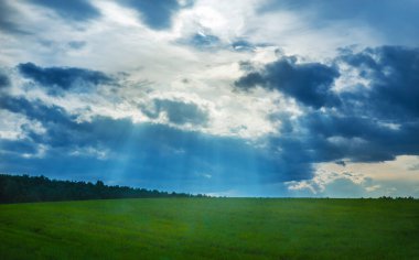 Bulutlu gökyüzünde güzel bir gün batımı yeşil alanda