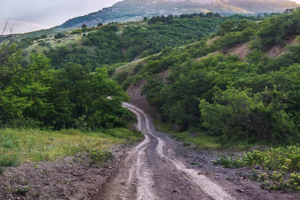 Грязная Дорога Открытой Горной Гряде Грозовыми Облаками — стоковое фото