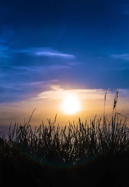 Hermosa Puesta Sol Sobre Hierba Alta Cielo Azul — Foto de Stock