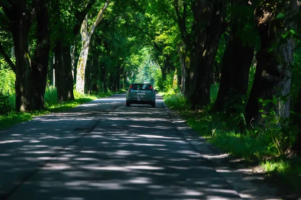 Voiture Déplace Sur Une Journée Été Sur Route Dans Allée — Photo