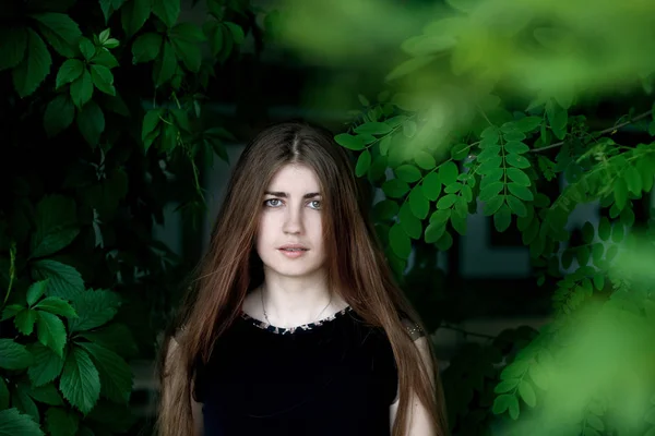 Κορίτσι Μακριά Καστανά Μαλλιά Στέκεται Ανάμεσα Πράσινα Φύλλα — Φωτογραφία Αρχείου