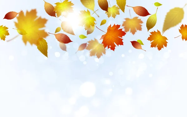 Helle Florale Glänzende Hintergrund Mit Fallenden Blättern Und Verschwommenen Lichtern — Stockfoto