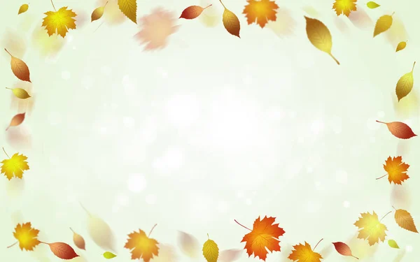 Lesklá Podzimní Pozadí Žluté Listy Rozmazané Světla — Stock fotografie