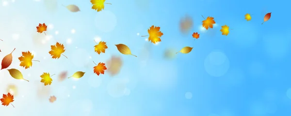 Herbst Helle Fahne Mit Fallenden Goldenen Blättern — Stockfoto
