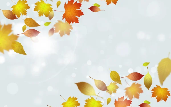 Frsh Floralen Glänzenden Hintergrund Mit Gelben Blättern Und Verschwommenen Lichtern — Stockfoto