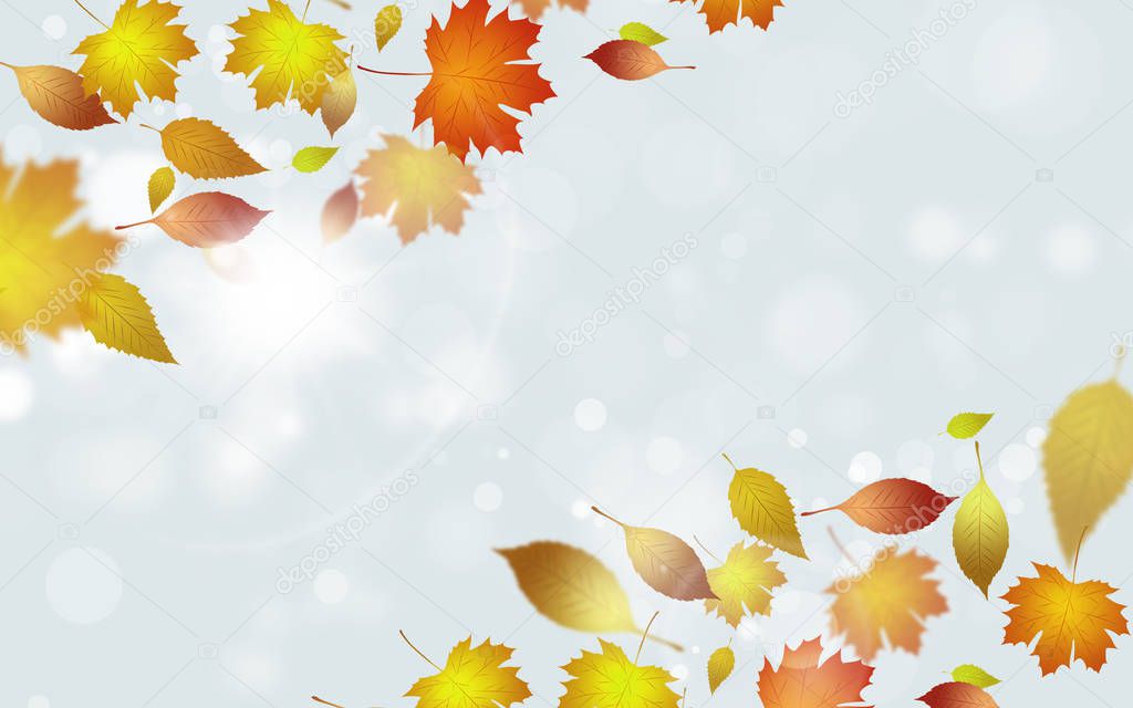 frsh floral shiny background with yellow leaves and blurry lights