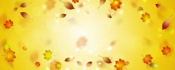 Jesień Jasne Transparent Przędzenia Objętych Żółty Liść — Zdjęcie stockowe