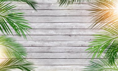 summer wood Background clipart