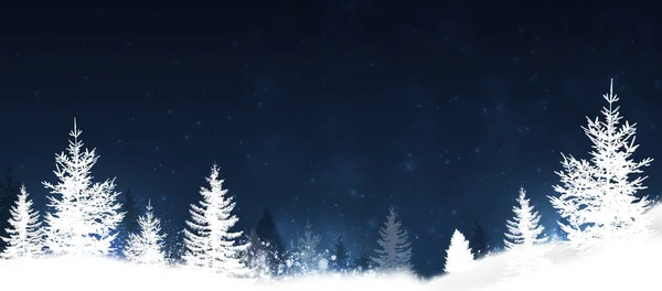 Nieve Invierno Bosque Bandera Noche Para Eventos Vacaciones Invierno — Foto de Stock
