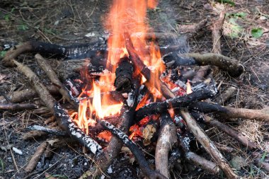 Yaz tatilinde doğada kamp ateşi