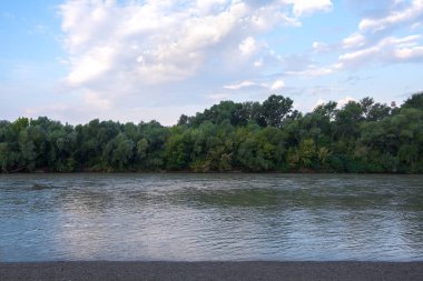 Orman ile nehrin karşı kıyısı görünümünü