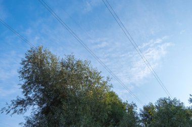 kafasına geçen elektrik telleri