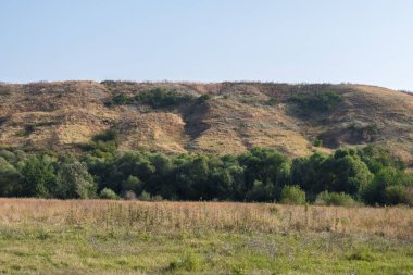 Dağ tarafındaki küçük bir koru