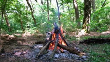 Yaz tatilinde doğada kamp ateşi