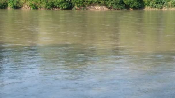 Powolny Przepływ Rzeki Szeroki — Wideo stockowe