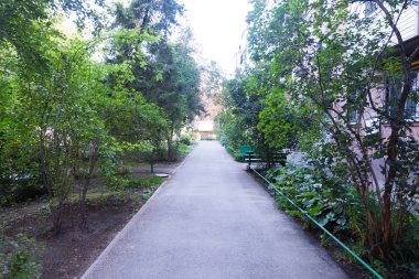 çok ağaç ile Rusya'da küçük bir sessiz avlunun görünümünü