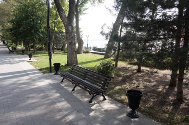 erken sonbahar gölgeli bir parkta tenha bir Bank görünümünü