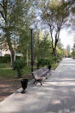 erken sonbahar gölgeli bir parkta tenha bir Bank görünümünü