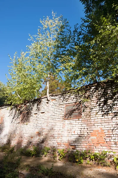 Ruines Briques Anciennes Dans Ville Rostov Sur Don Près Remblai — Photo