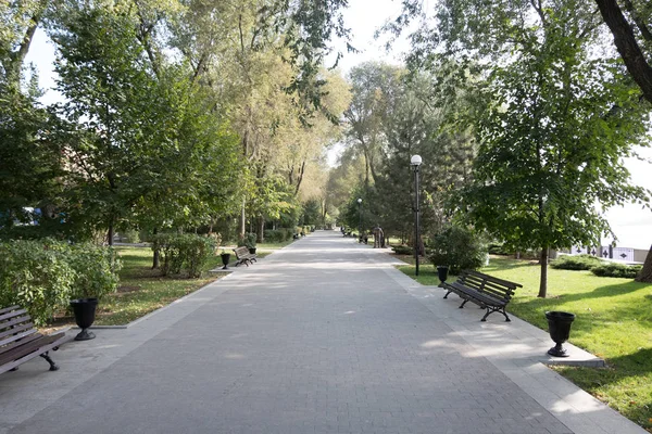 People Shady Square Early Autumn High Maples — Stock Photo, Image