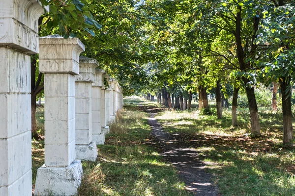 Ruelle Dans Parc Été Long Des Colonnes Blanches — Photo