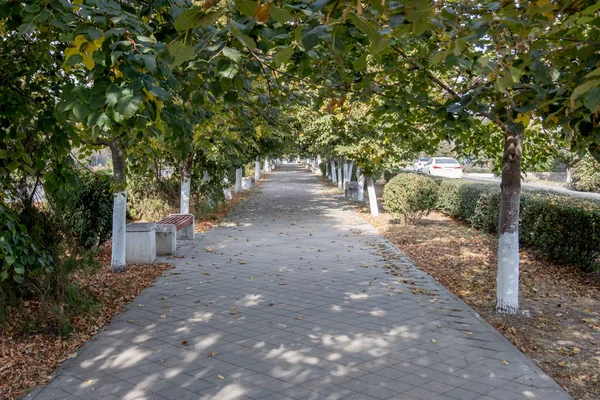 Дорога Тихом Осеннем Парке Опавшими Листьями — стоковое фото