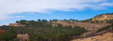 dağ manzaralı güzel nadir yeşil ağaçlık