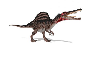 Beyaz arka plan 3d çizim üzerinde açıların Spinosaurus ayarla