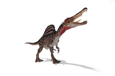 Beyaz arka plan 3d çizim üzerinde açıların Spinosaurus ayarla