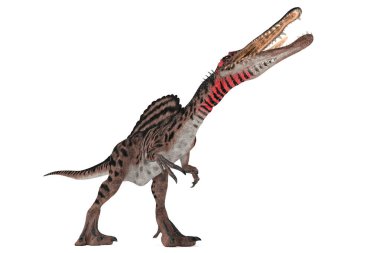 Beyaz arka plan 3d çizim üzerinde açıların Spinosaurus ayarla