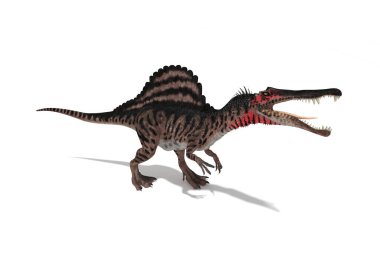 Beyaz arka plan 3d çizim üzerinde açıların Spinosaurus ayarla