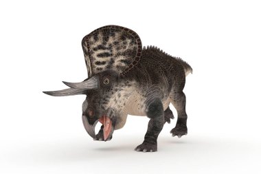 açıları 3d resimde güzel Zuniceratops dizi