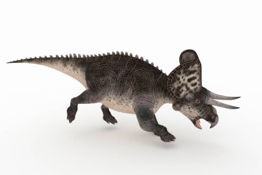 açıları 3d resimde güzel Zuniceratops dizi